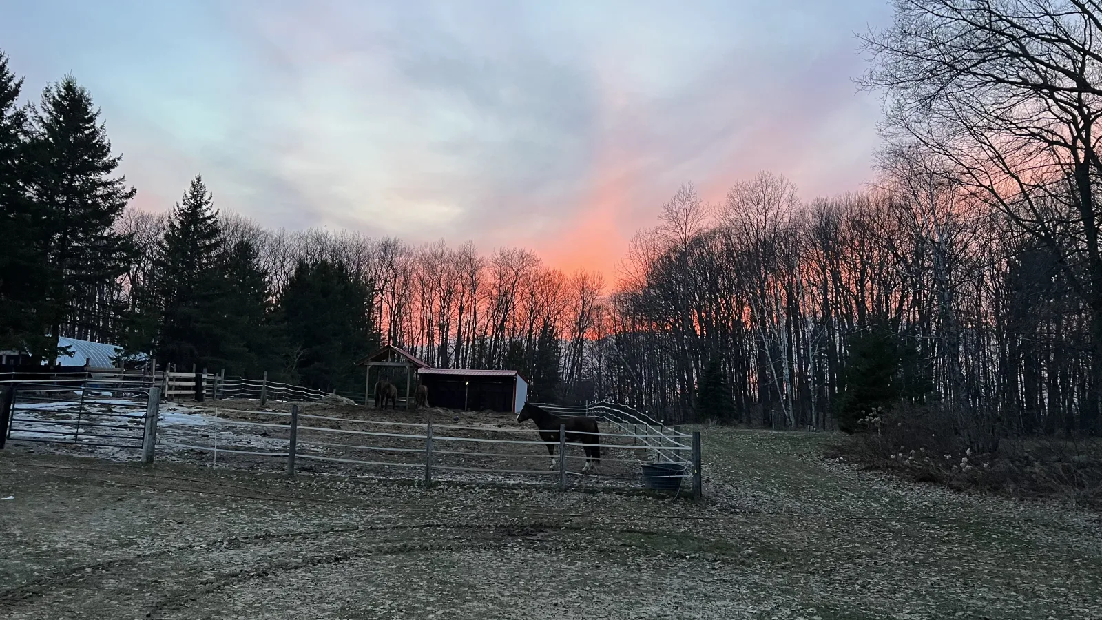 Reimann Hobby Acres at sunset — Central Wisconsin farmland